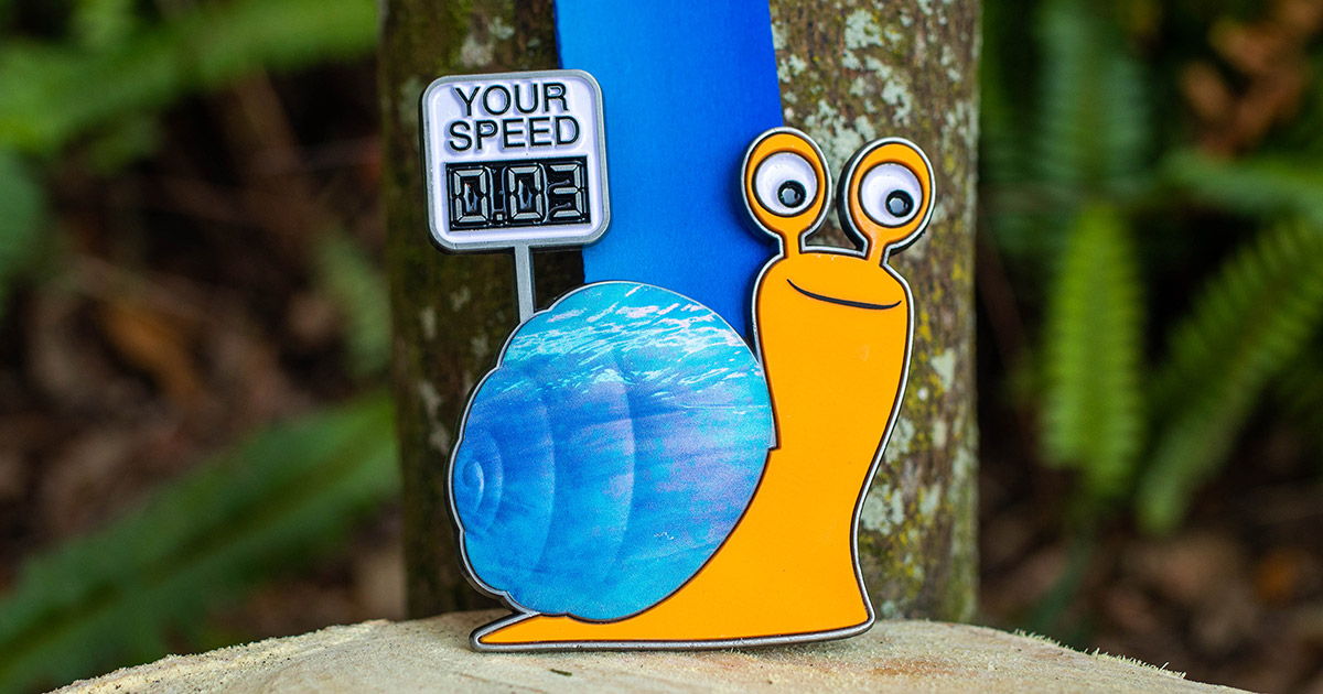 Snail's Pace Virtual Race