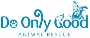 Virtual Strides Virtual Race - Do Only Good Animal Rescue