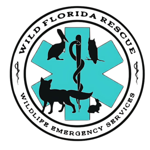 Wild Florida Rescue Logo