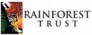 Virtual Strides Virtual Run - Rain Forest Trust logo