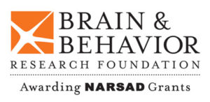 Virtual Strides Virtual Race - Brain & Behavior Research Foundation