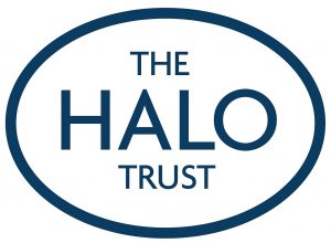 Virtual Strides Virtual Run - Halo Trust logo