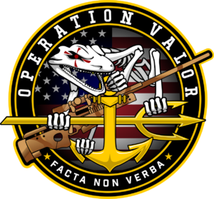 Operation Red Wings Memorial Run – Virtual Strides