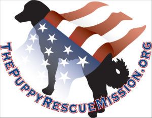Virtual Strides Virtual Race - Puppy Rescue Mission