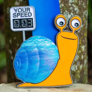 Virtual Strides Virtual Run - Snail's Pace virtual race medal